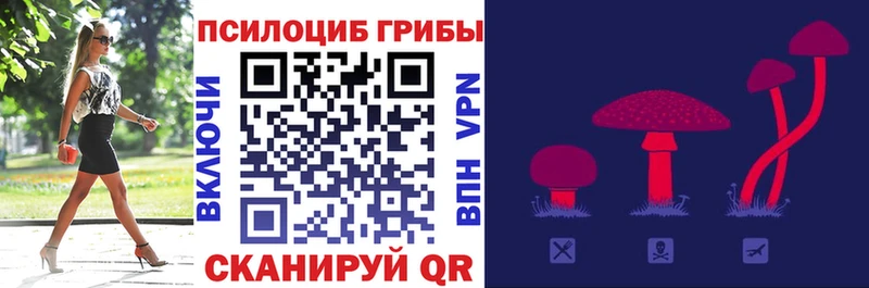 Псилоцибиновые грибы Psilocybine cubensis  Купить закладки  Новотроицк 